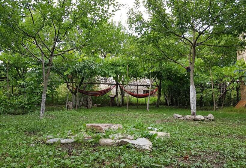 پانسیون Ethno House Inn Tianeti