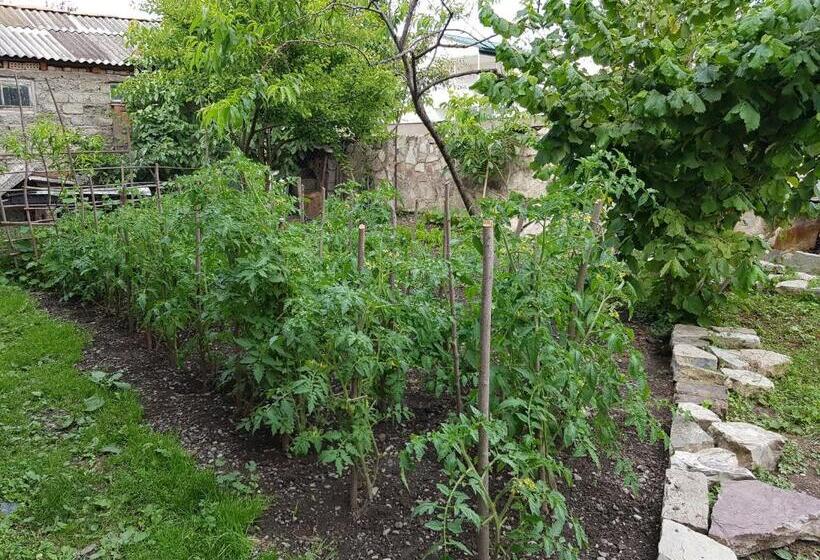 پانسیون Ethno House Inn Tianeti