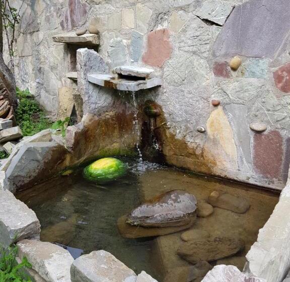 پانسیون Ethno House Inn Tianeti