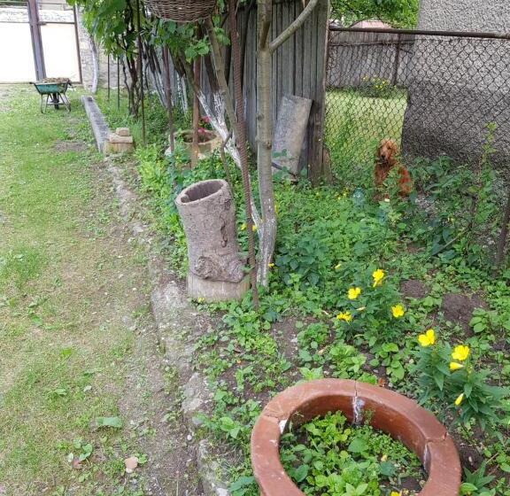 پانسیون Ethno House Inn Tianeti