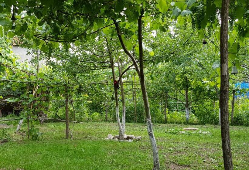 پانسیون Ethno House Inn Tianeti