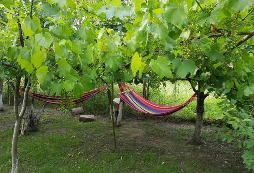 پانسیون Ethno House Inn Tianeti