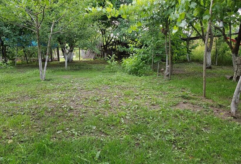 پانسیون Ethno House Inn Tianeti