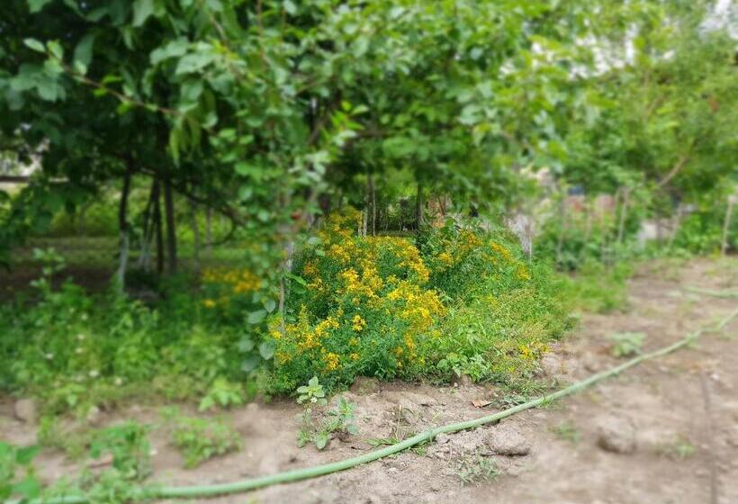 پانسیون Ethno House Inn Tianeti