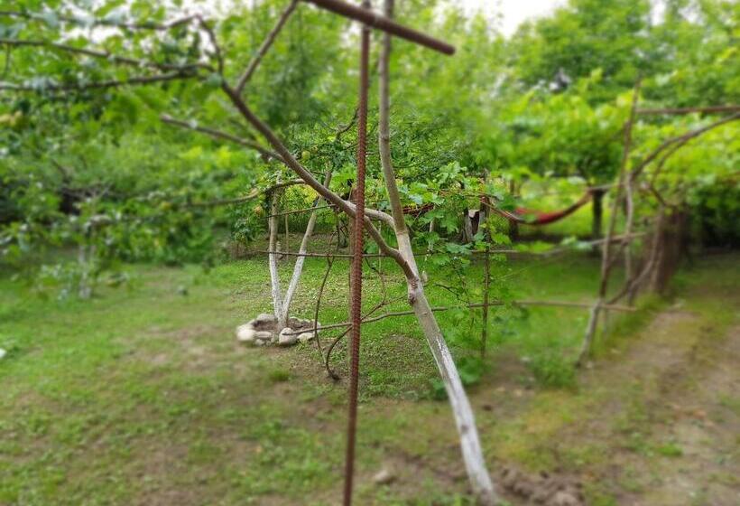 پانسیون Ethno House Inn Tianeti