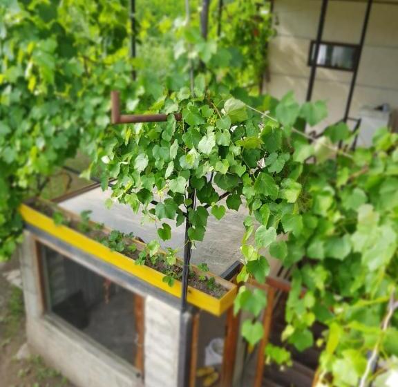 پانسیون Ethno House Inn Tianeti