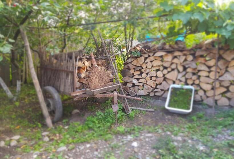 پانسیون Ethno House Inn Tianeti