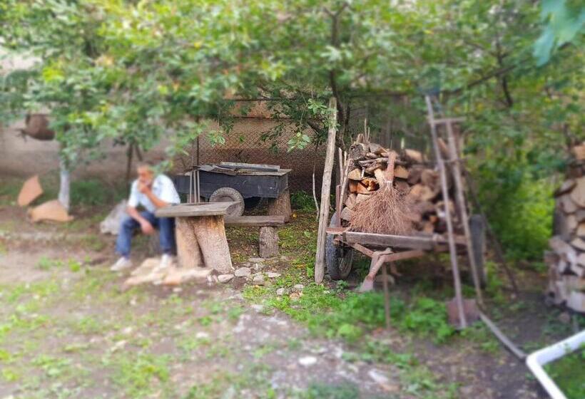 پانسیون Ethno House Inn Tianeti