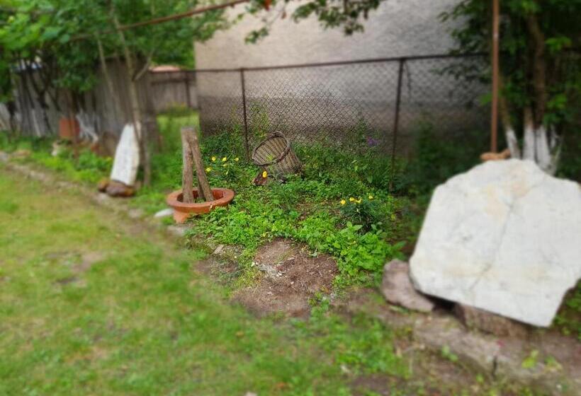 پانسیون Ethno House Inn Tianeti