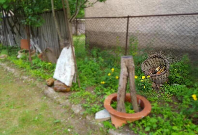 پانسیون Ethno House Inn Tianeti