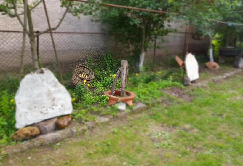 پانسیون Ethno House Inn Tianeti