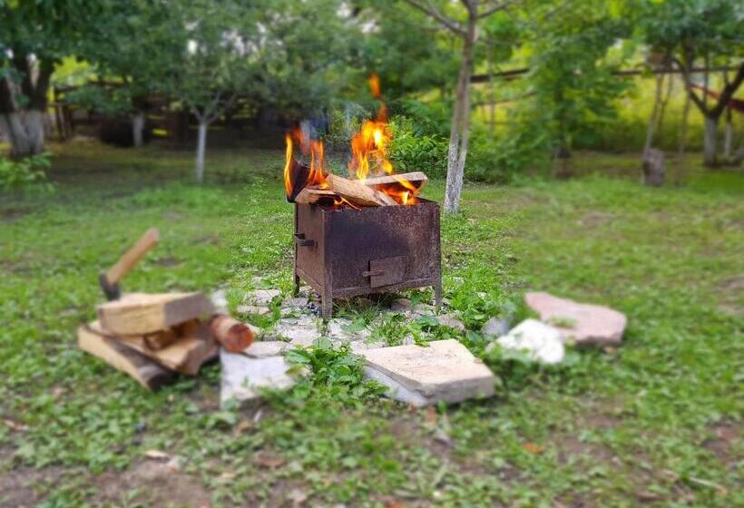 پانسیون Ethno House Inn Tianeti