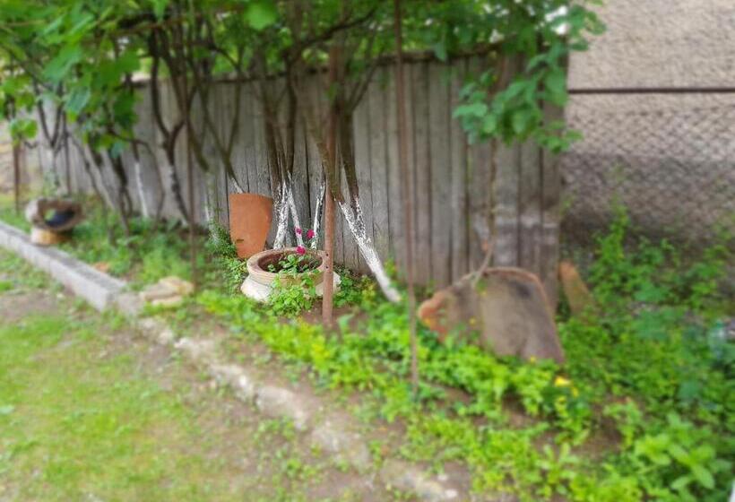 پانسیون Ethno House Inn Tianeti