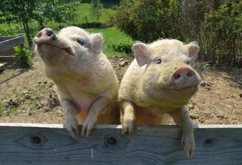 펜션 Gästehaus Waldblick