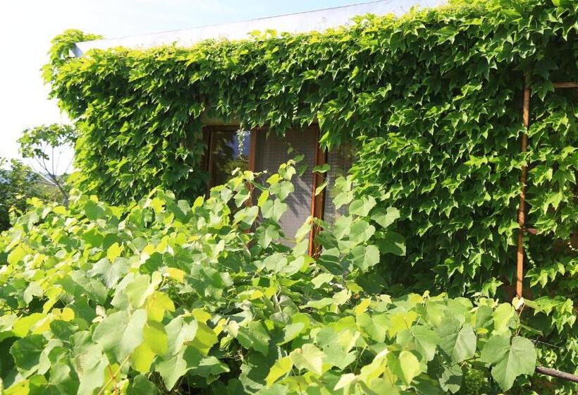 پانسیون Guest House Green Veranda