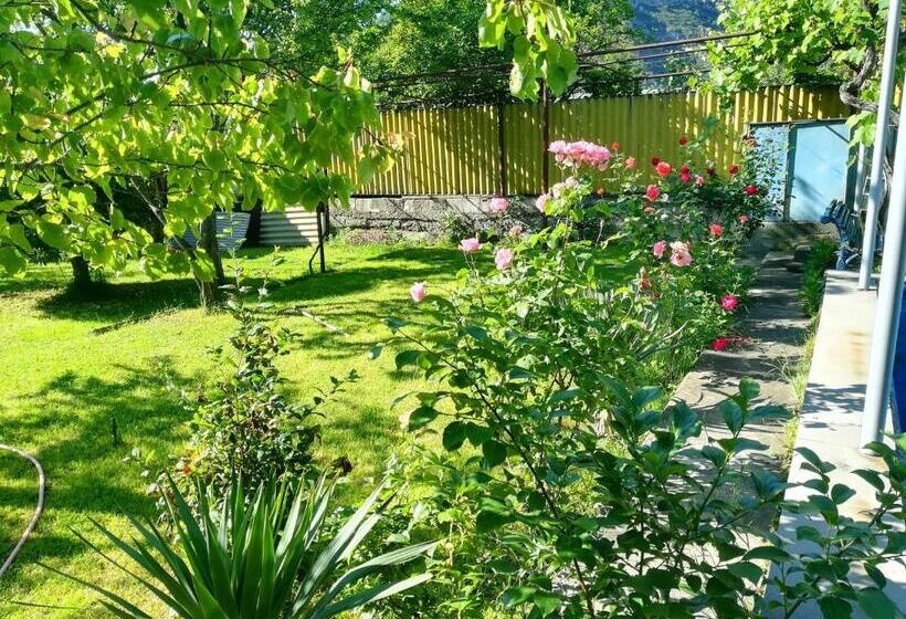 پانسیون Guest House Green Veranda