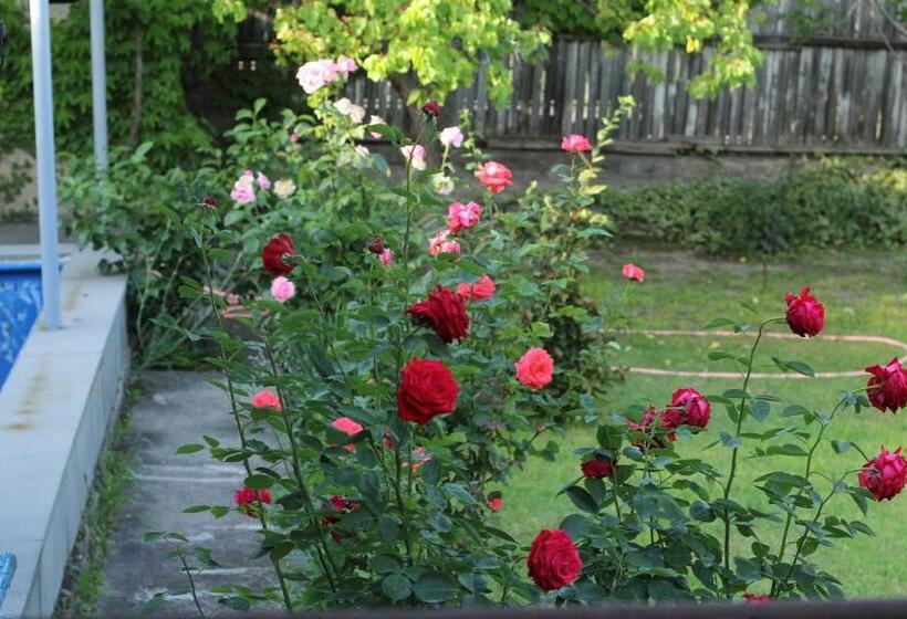 پانسیون Guest House Green Veranda