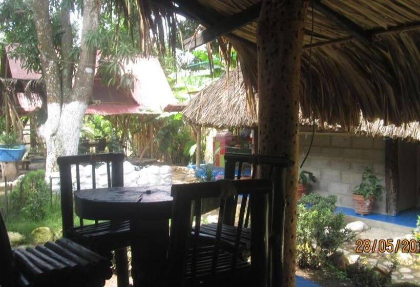 پانسیون Hostel Cattleya