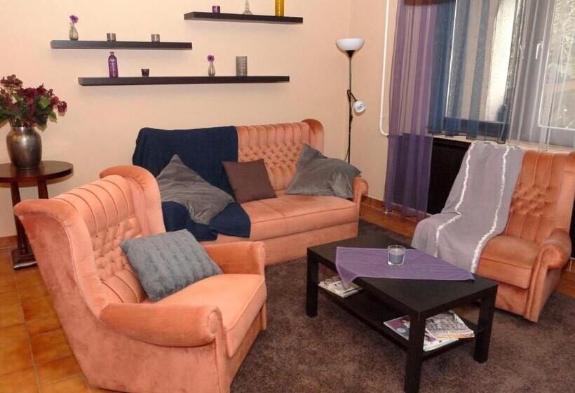 膳宿费 Ipoly Party Ház