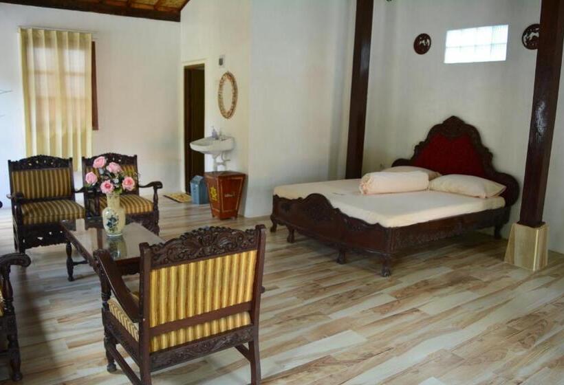 膳宿费 Larosa Homestay