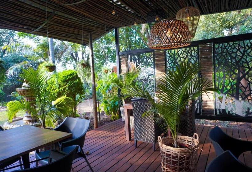 ペンション Letsitele Guesthouse