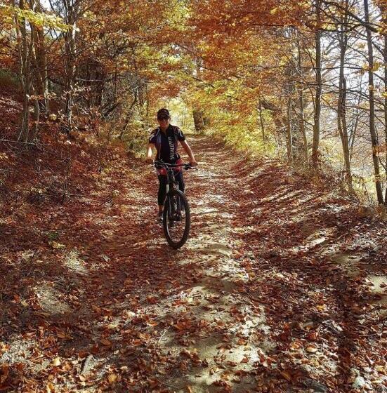 پانسیون Luxury Villa Medusa Temple