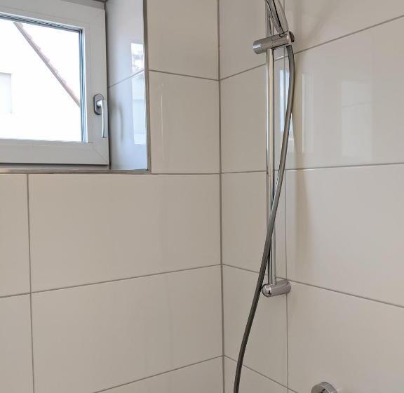 Пансион Monteurzimmer In Ludwigshafen Oppau Nähe Zu Basf