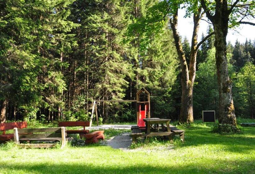 Пансион Penzion Mezi Lesy