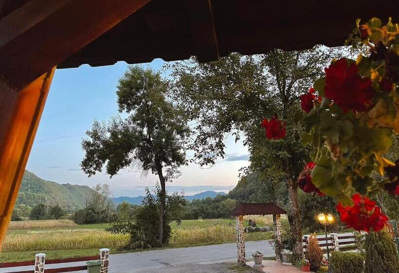 膳宿费 Poarta Apusenilor