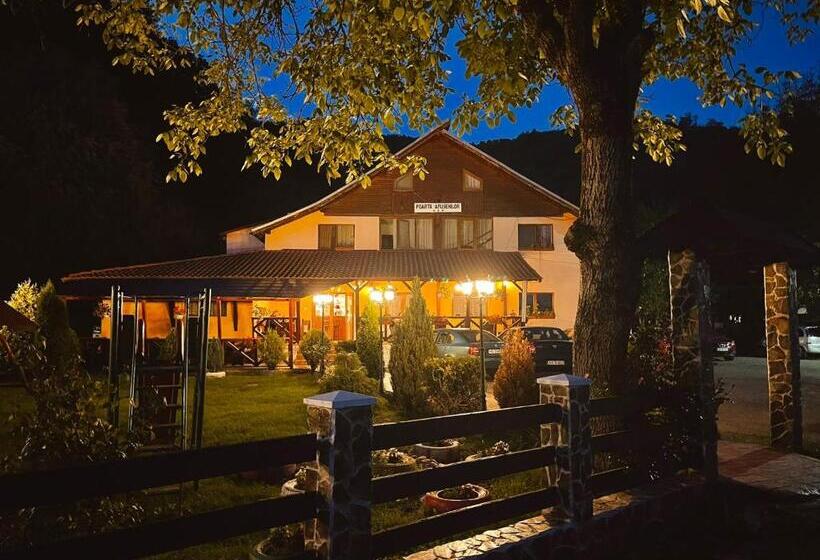 膳宿费 Poarta Apusenilor