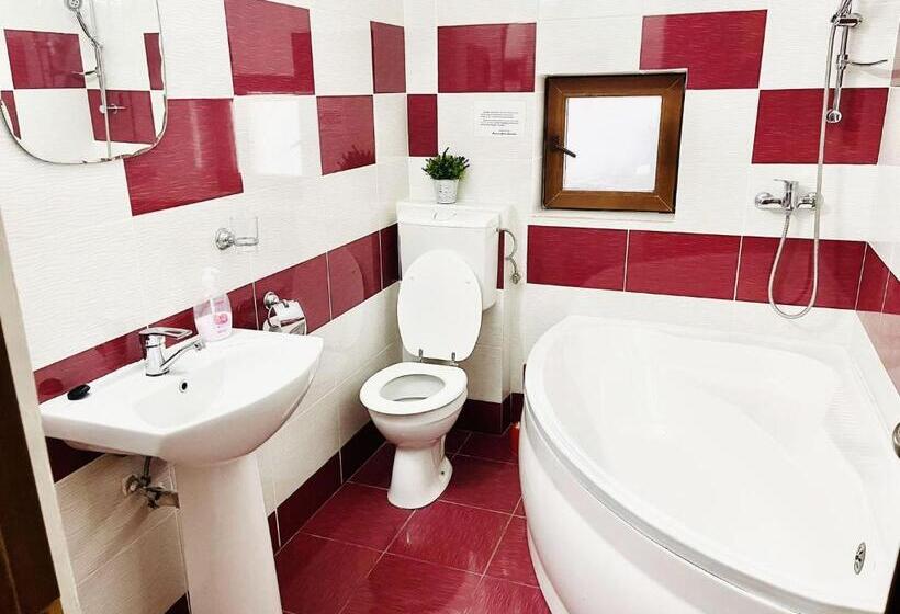 膳宿费 Poarta Apusenilor