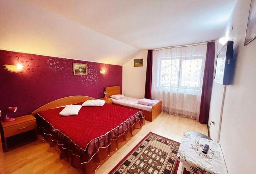 膳宿费 Poarta Apusenilor