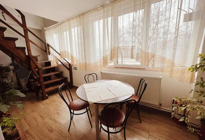 膳宿费 Poarta Apusenilor