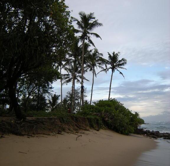 膳宿费 Private Beach House In Mirissa