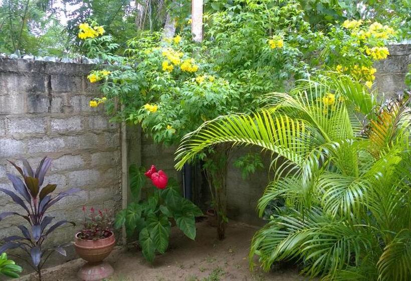 膳宿费 Private Beach House In Mirissa