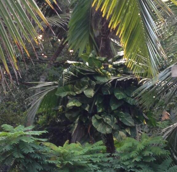 Пансион Rivi Sanda Villa & Apartment Hikkaduwa