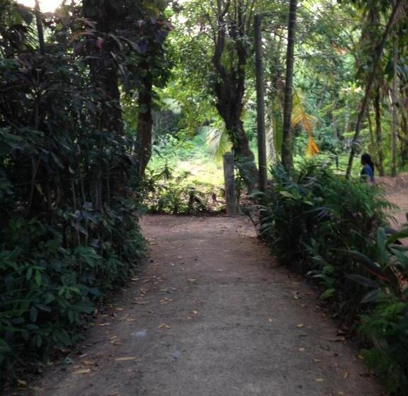 Пансион Rivi Sanda Villa & Apartment Hikkaduwa