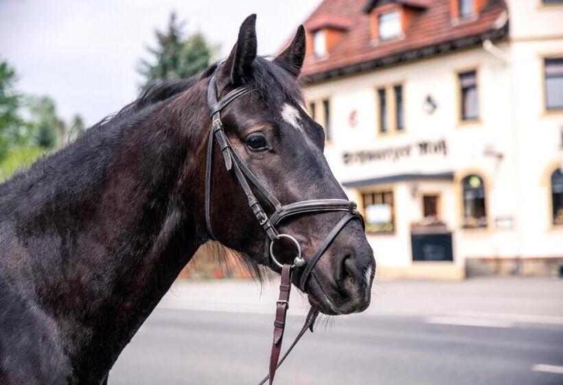 Пансион Schwarzes Ross