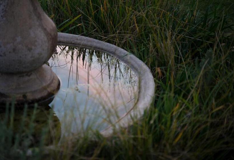 膳宿费 Silver Linings Guesthouse