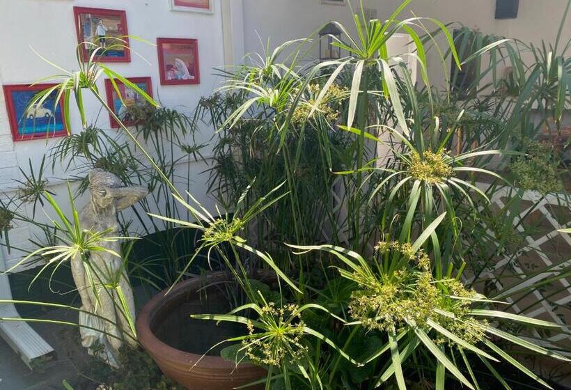 膳宿费 Silver Linings Guesthouse