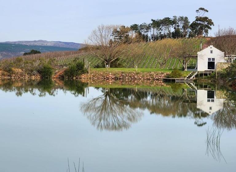 بنسيون South Hill