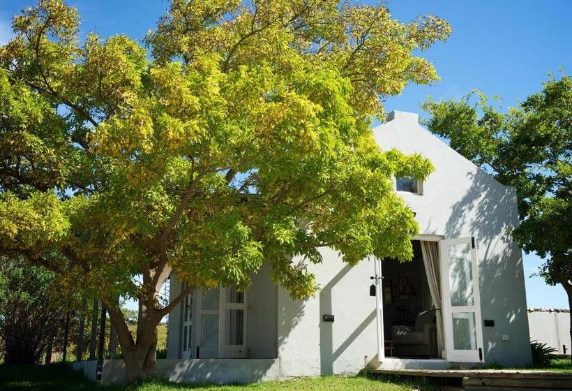 بنسيون South Hill