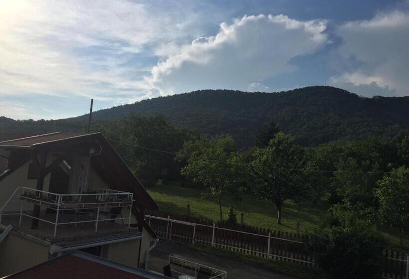 ペンション Sárvári Vendégház Pécs,hosszúhetény