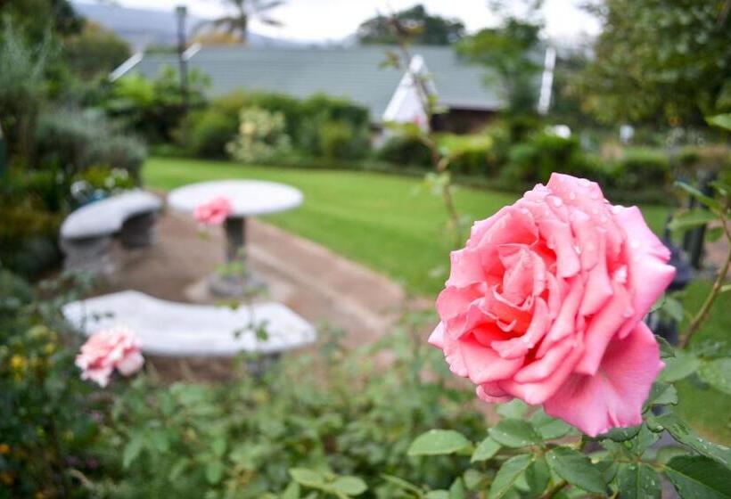 פנסיון The Rawstornes