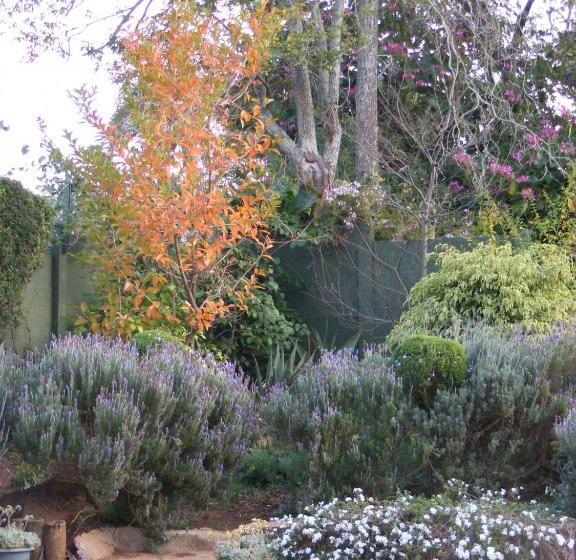 פנסיון The Rawstornes