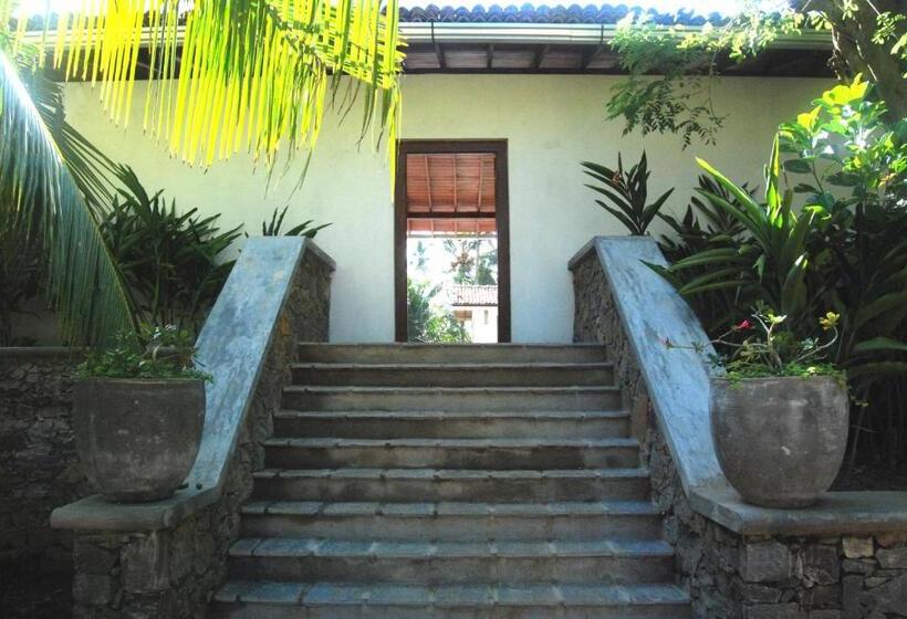 膳宿费 The Saffron House