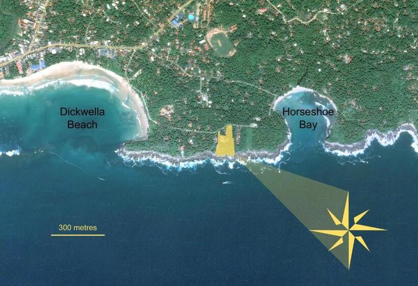 膳宿费 The Saffron House