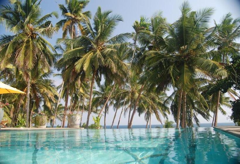 膳宿费 The Saffron House