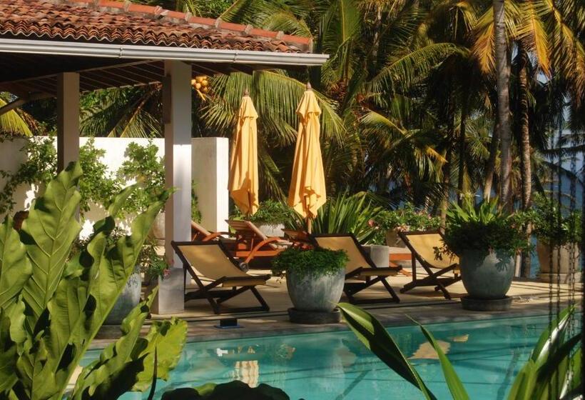 膳宿费 The Saffron House