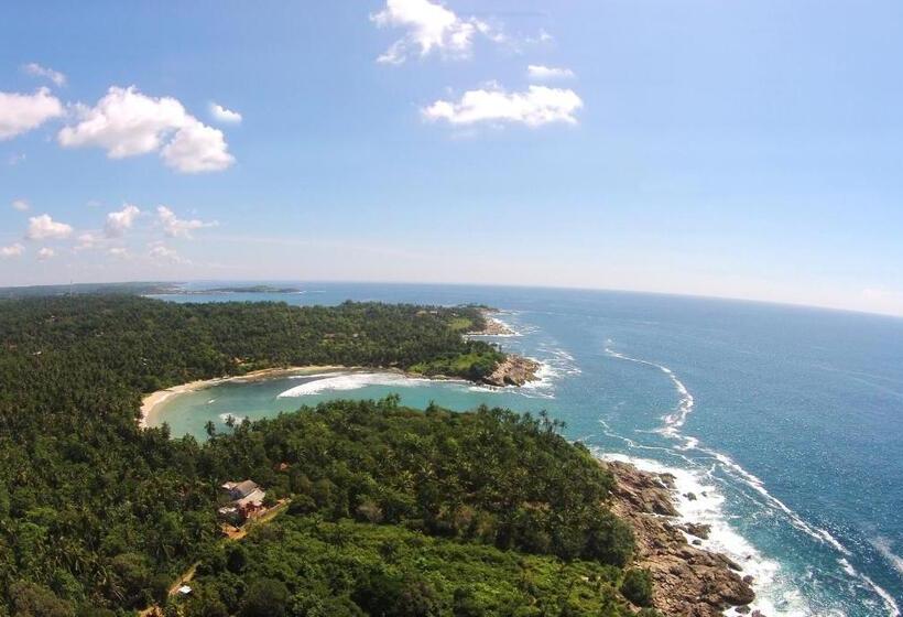 ペンション The Saffron House